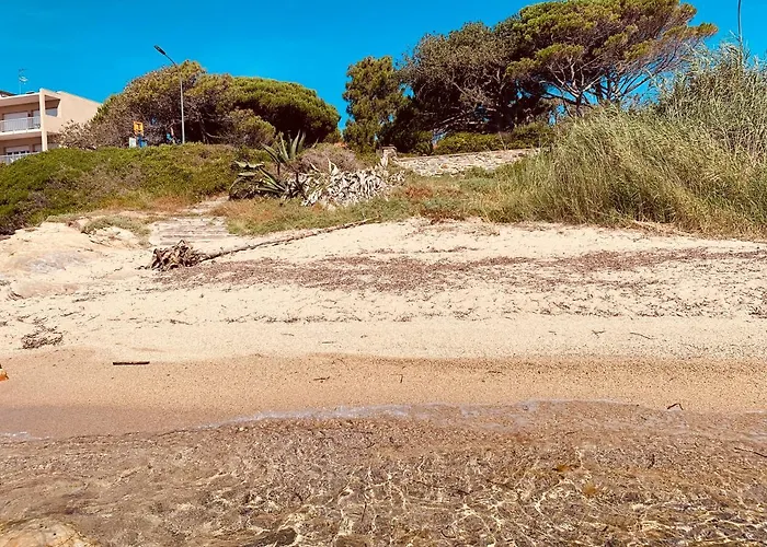 Le Latania Sainte-Maxime